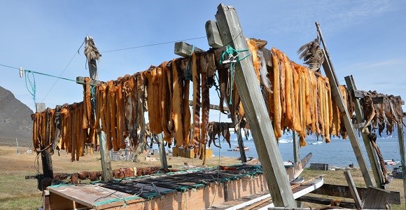 伝統的な鯨漁の街：イロリスイット