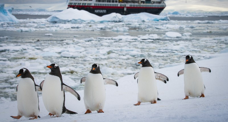 南極大陸・エキスプローラー・クルーズ1日の過ごし方